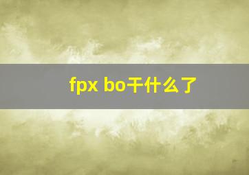 fpx bo干什么了